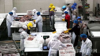 都安县 牛肉市场 牛气冲天 产品旺销