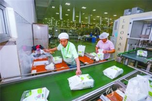 西樵 以产业集聚式发展撬动新动能
