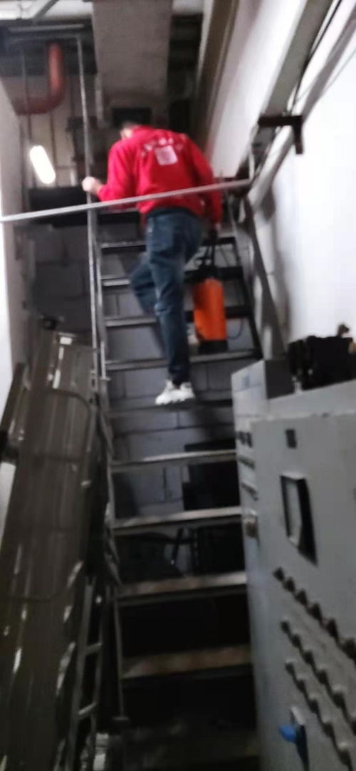 房山区灭蟑公司 灭蚊蝇哪家服务好