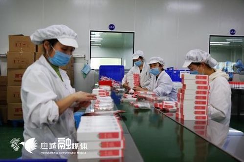 抗疫发展 两不误 是这样炼成的 应城七家重点工业企业抗疫保发展成效纪实