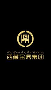 西藏金鼎实业集团
